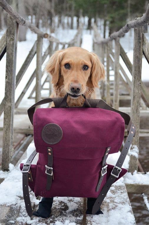 Scout Pack
