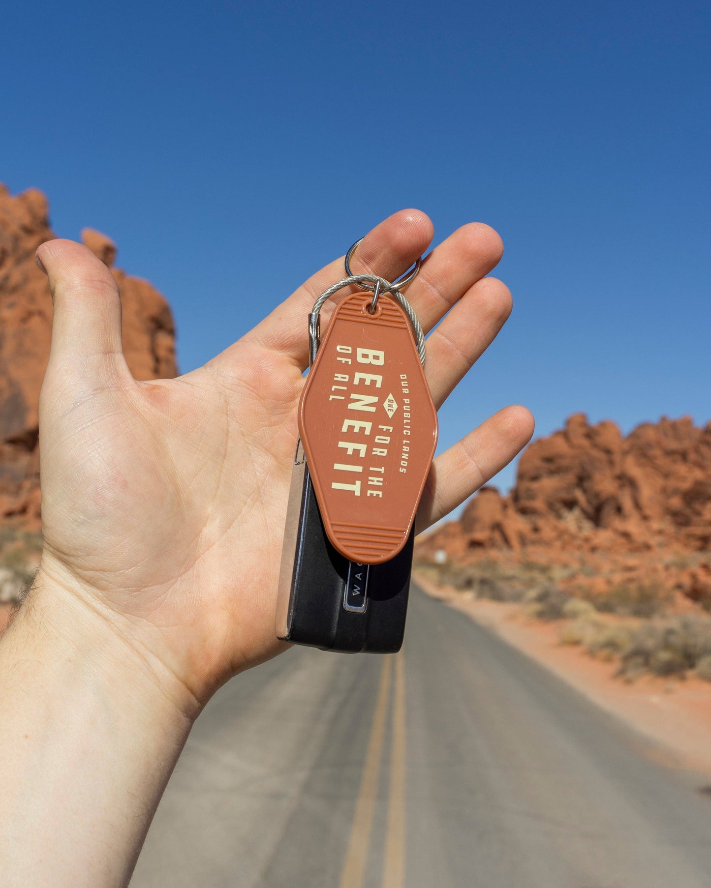 Public Lands for All Keychain