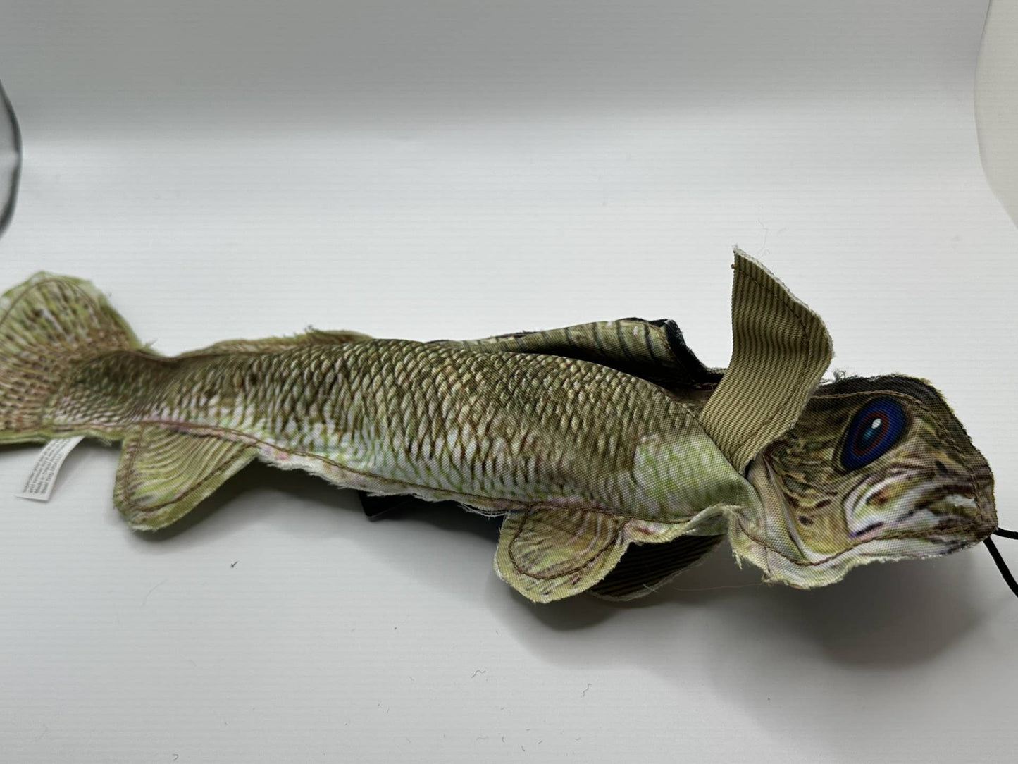 Denim Walleye