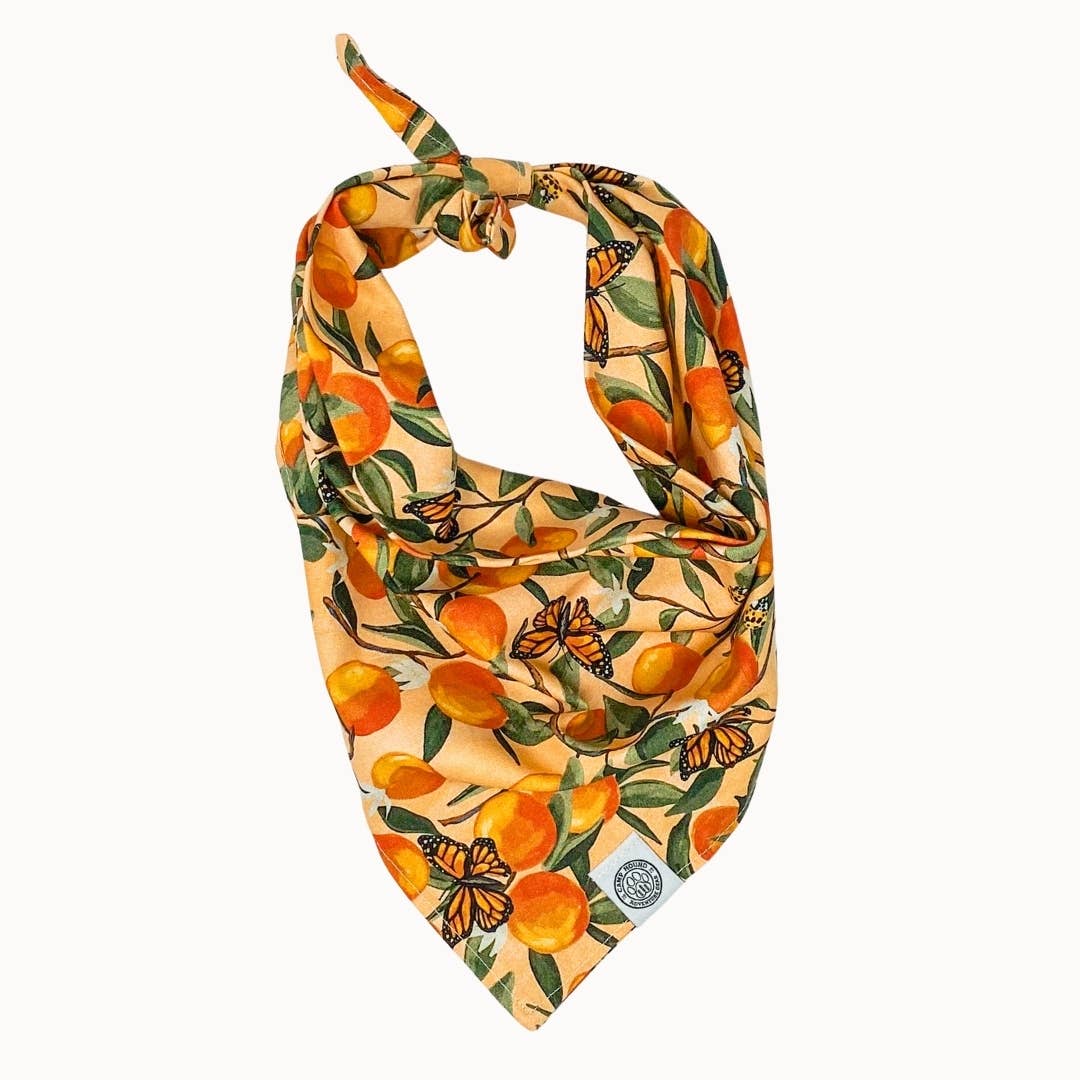 Clem Dog Bandana