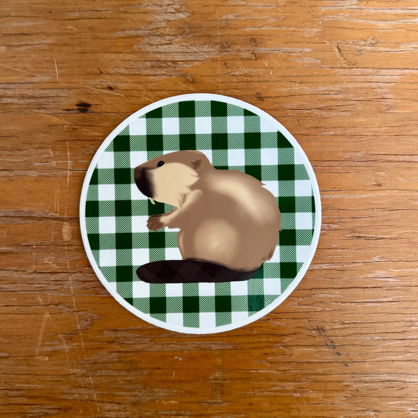 Bucky Beaver Sticker