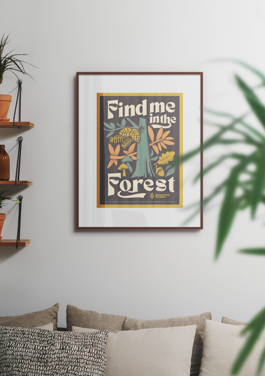 Find Me in the Forest - 12x16 Poster