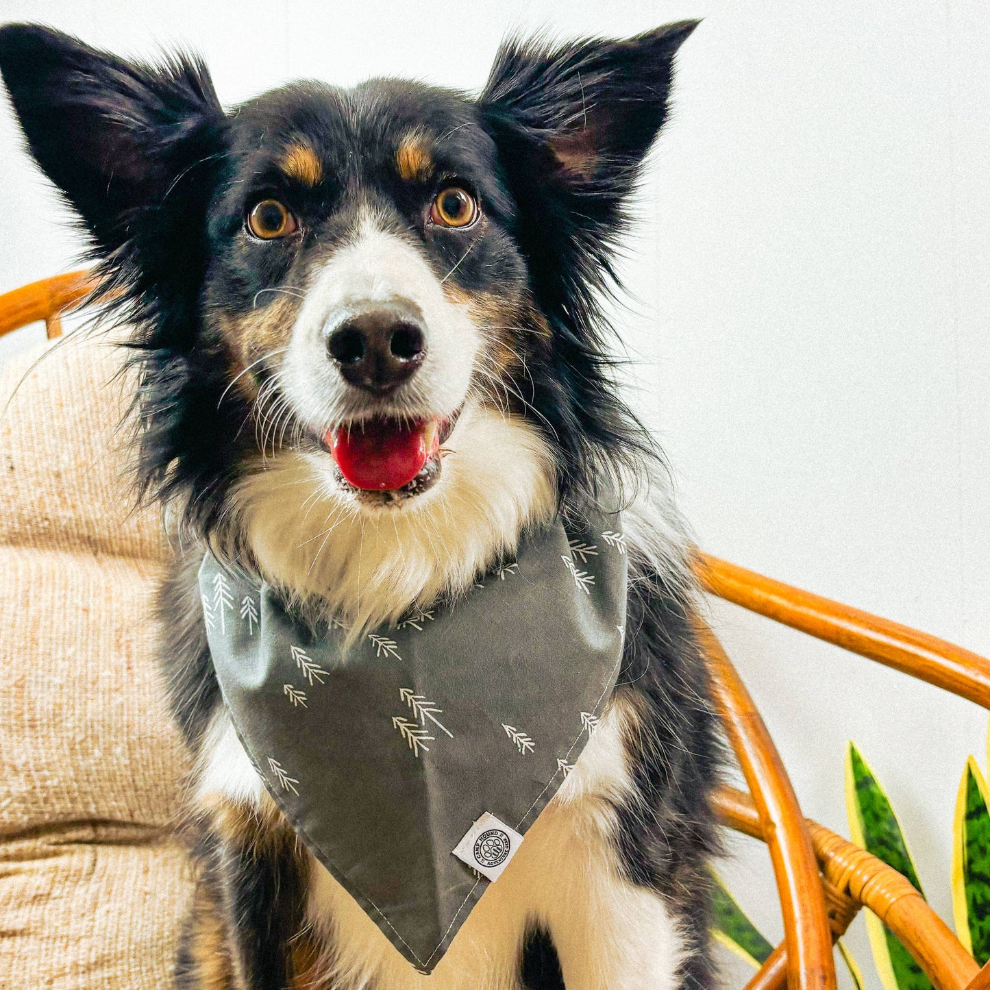 Betty Dog Bandana
