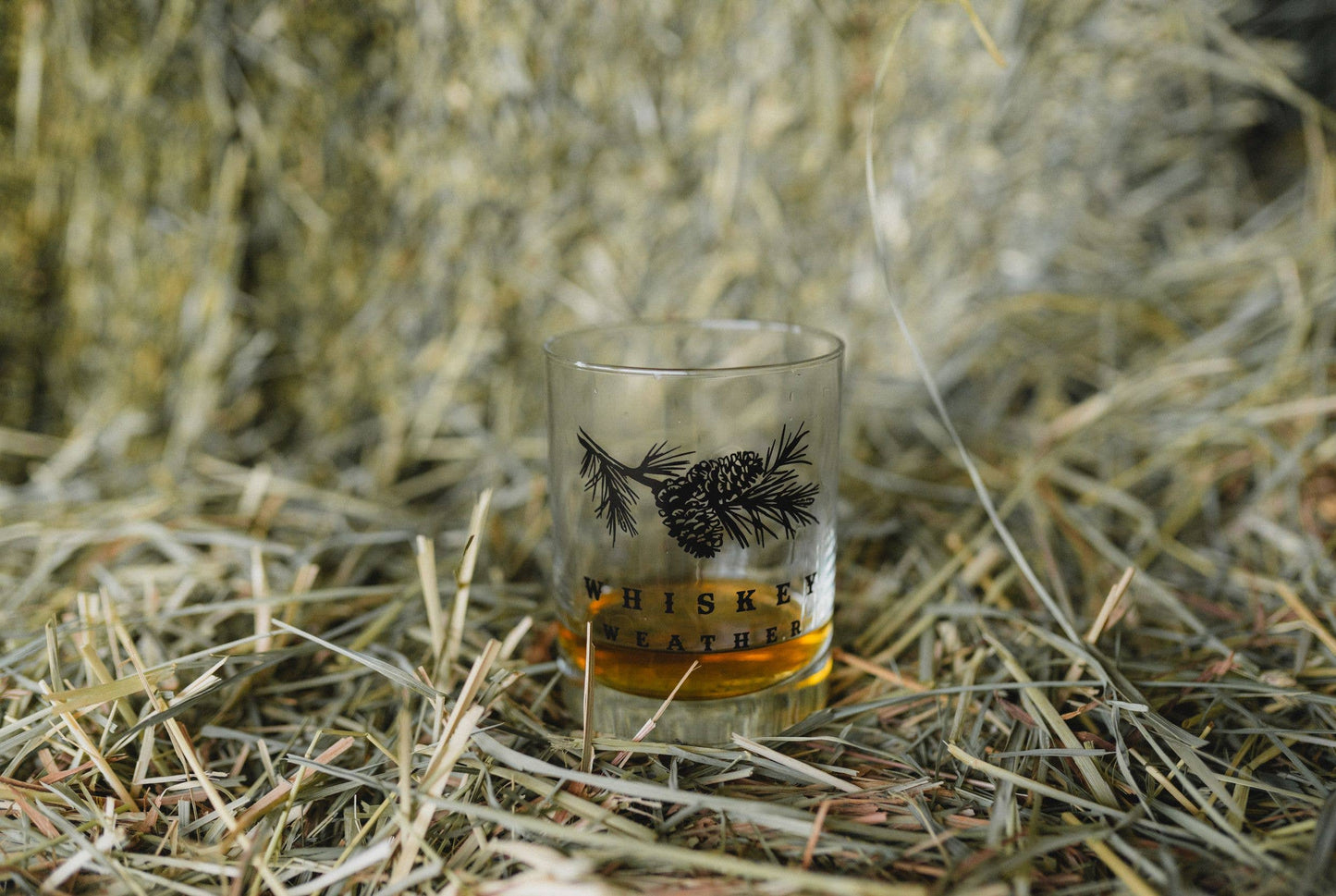 Whiskey Weather Rocks Glass
