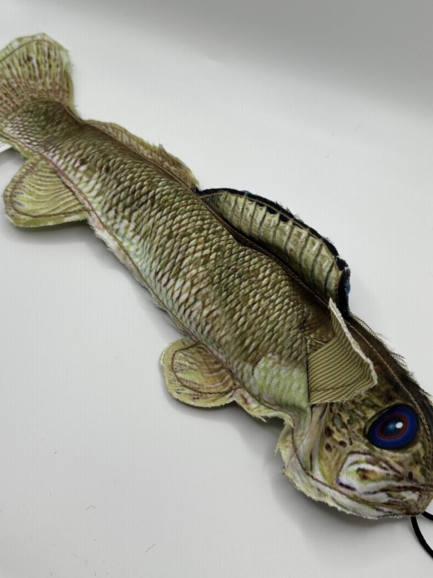 Denim Walleye