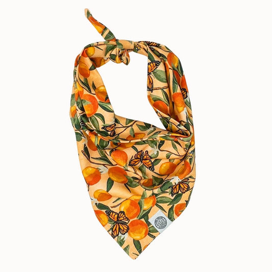 Clem Dog Bandana