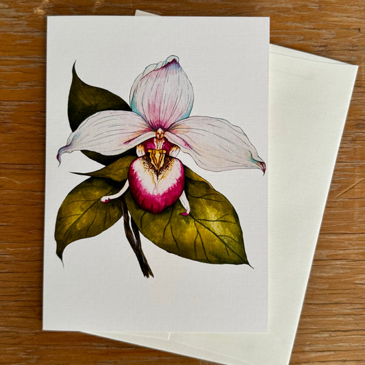 Pink Lady Slipper Card