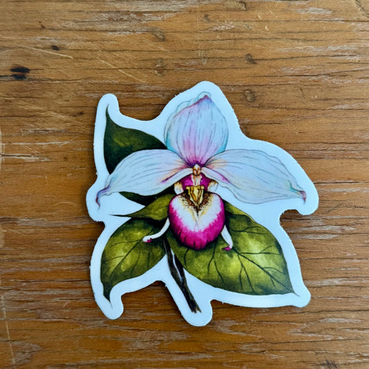 PinkLady Slipper Sticker
