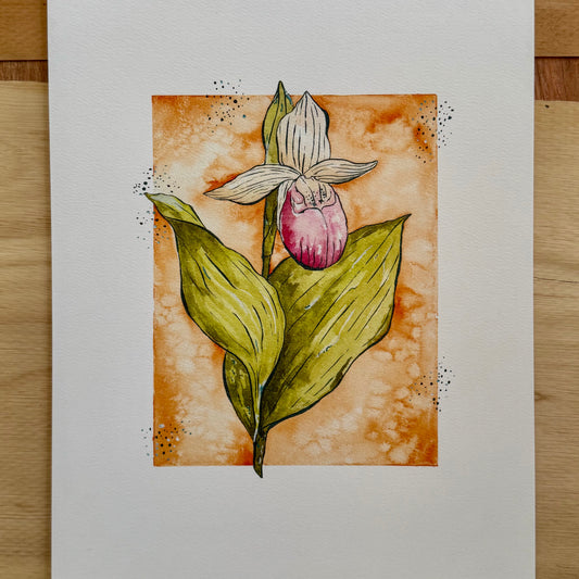 Lady Slipper Print