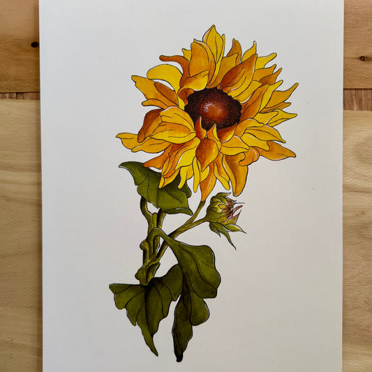 Sunflower Print