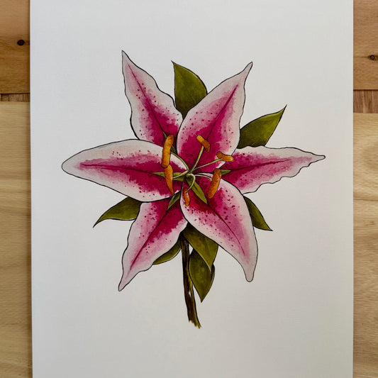 Stargazer Lily Print
